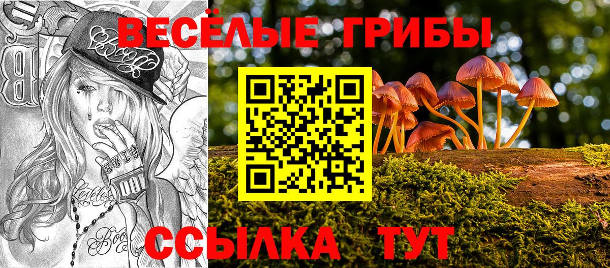 Александров  Псилоцибиновые грибы MAGIC MUSHROOMS  Галлюциногенные грибы прущие грибы  Вход с VPN 
